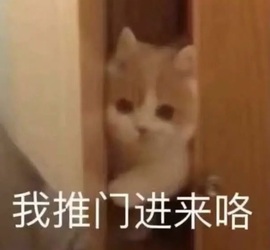 洁儿宝宝~主播照片