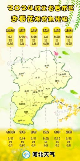 2025不好过主播照片