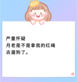 丑小鸭💞愿有一束光主播照片
