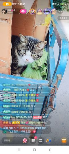 婷婷💕求升级的图片