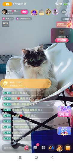 婷婷💕求升级的图片