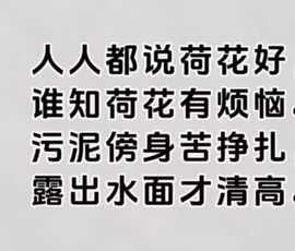 丑小鸭💞愿有一束光主播照片