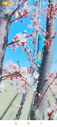 婷婷💕感恩有你陪伴的图片