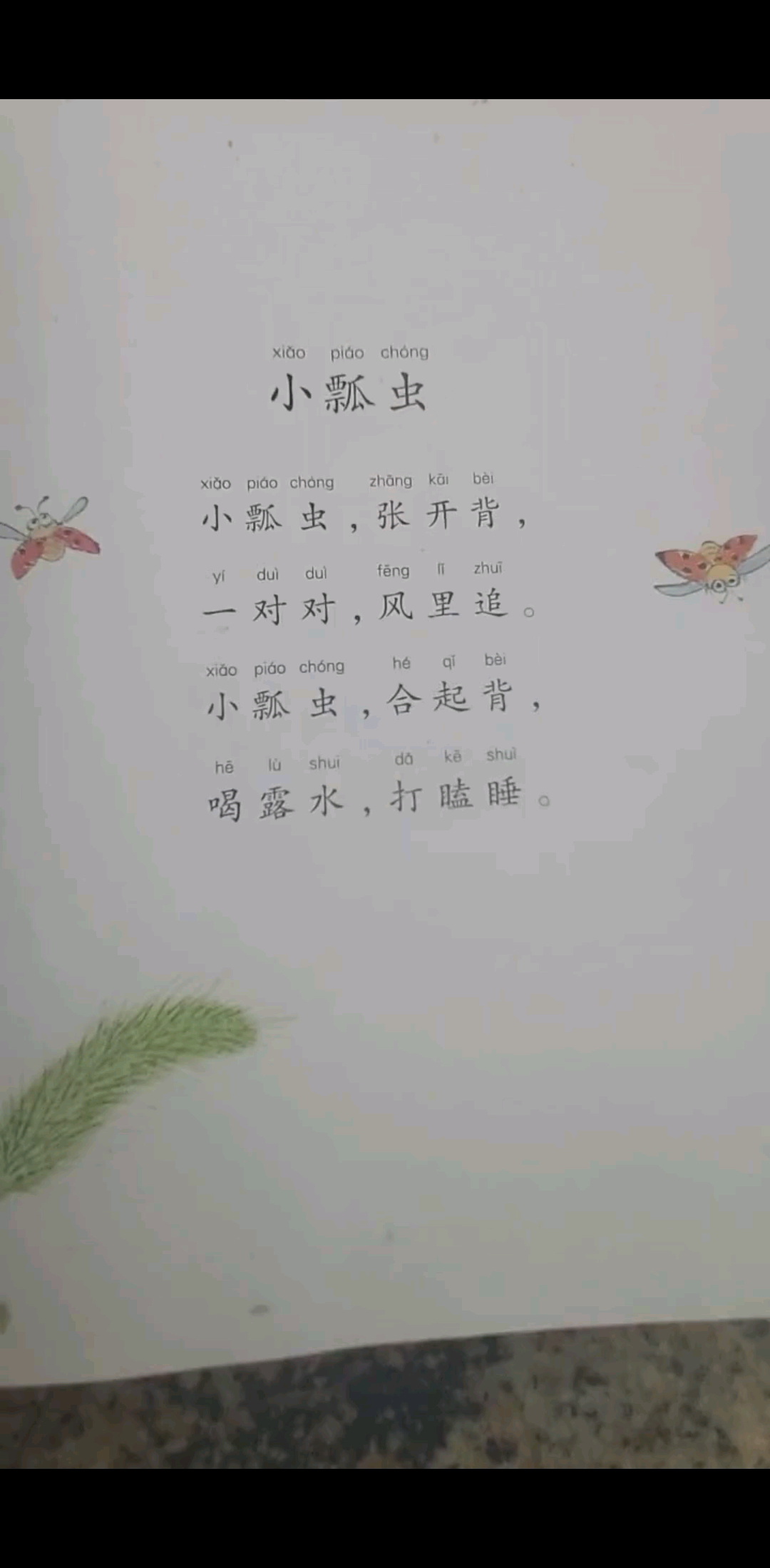 小瓢虫