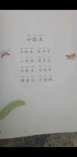 小瓢虫