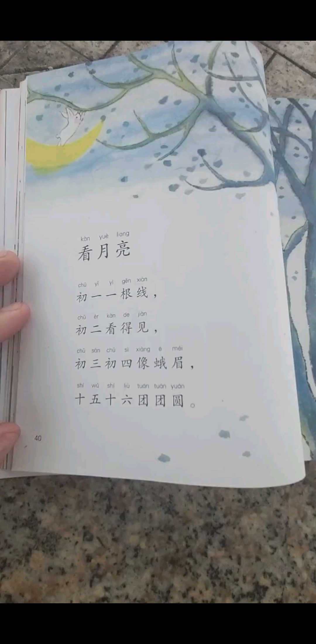 看月亮