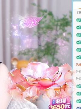 芥菜肉末粥主播照片