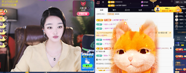 窦窦，家里有事休息了主播照片