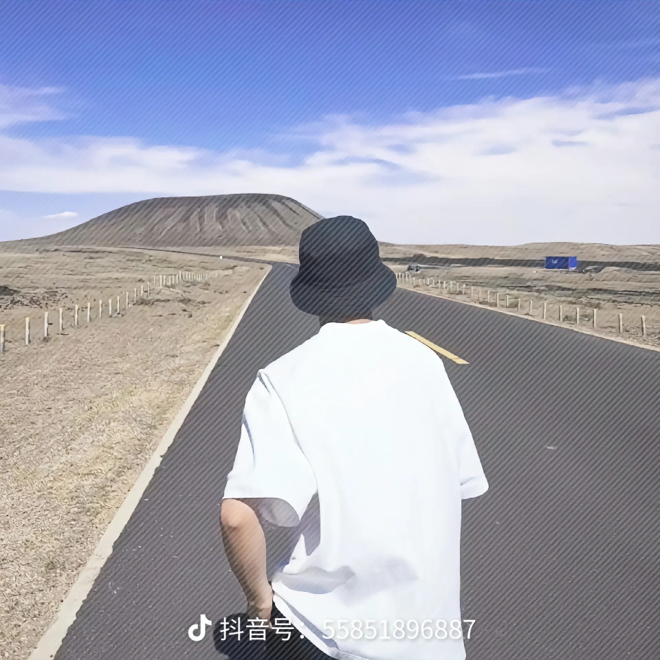 逍遥的小白龙海报