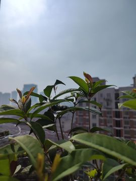 婷婷💕感恩有你陪伴的图片