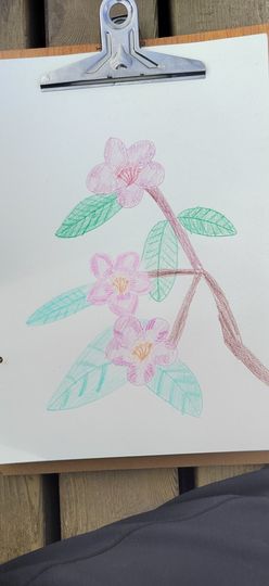 钟铃tina主播照片