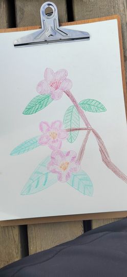 钟铃tina主播照片