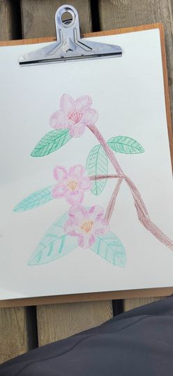 钟铃tina主播照片