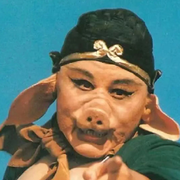 湖北第一深情哥