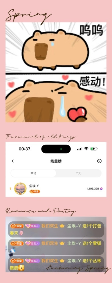 跑调嘉💟休的图片