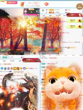 阳阳💕休主播照片