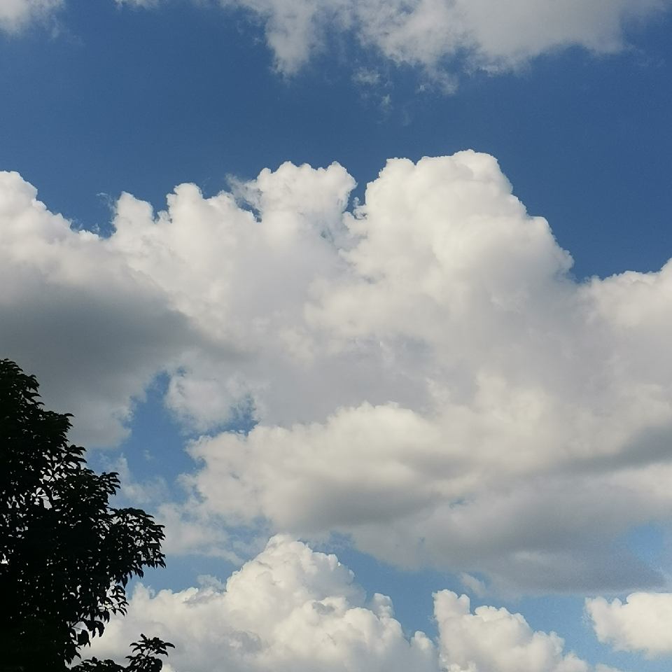 小雲雲～海报