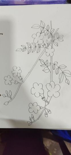 钟铃tina主播照片