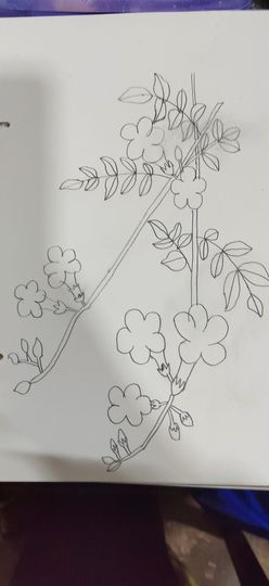 钟铃tina主播照片