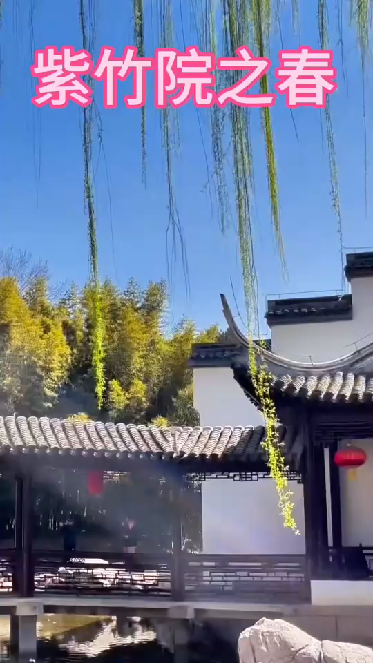 千条红枝万重烟，正是