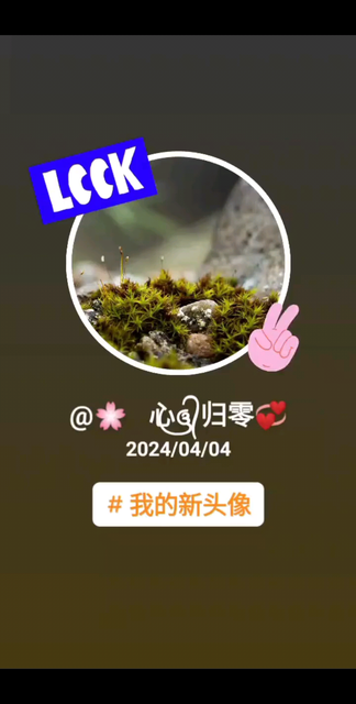 🌸心归⭕️