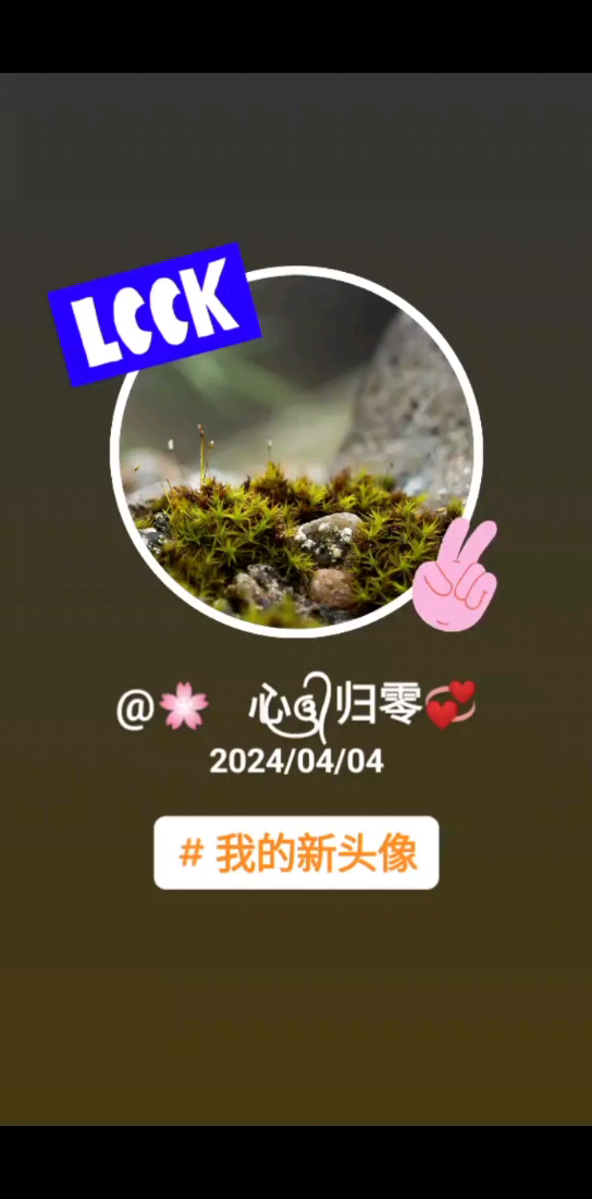 让🌸蕊归零