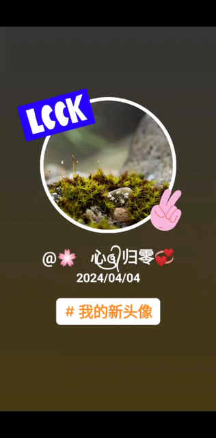 让🌸蕊归零
