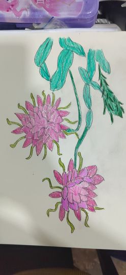钟铃tina主播照片