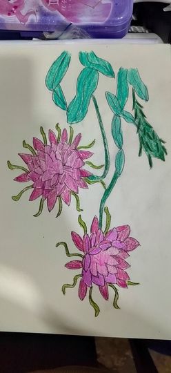 钟铃tina主播照片