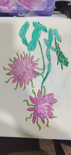 钟铃tina主播照片