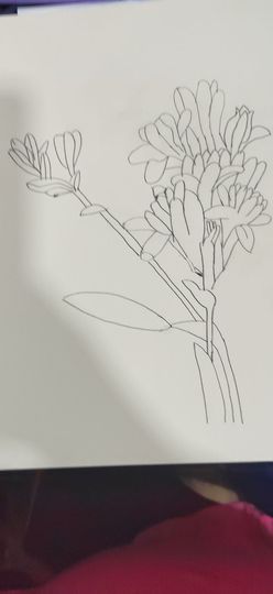 钟铃tina主播照片