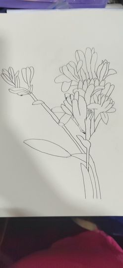 钟铃tina主播照片