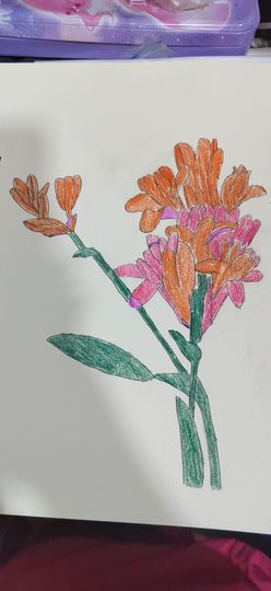 钟铃tina主播照片