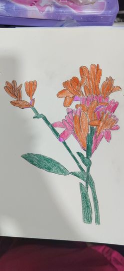 钟铃tina主播照片