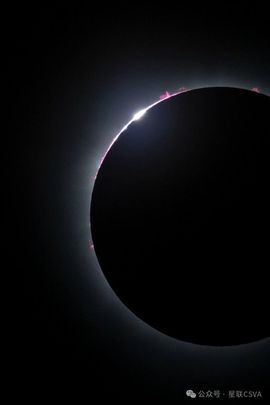 2025不好过主播照片