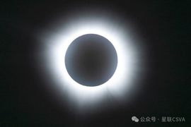 2025不好过主播照片