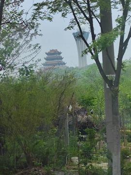 婷婷💕感恩有你陪伴的图片