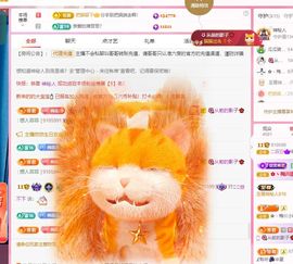 菲儿♥好运来🌈主播照片