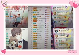 海鸽晚上见主播照片