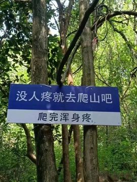 宠爱🍁开心主播照片