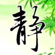 宁静致远灬的头像