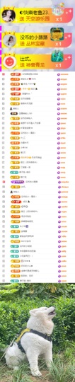 陈慧慧🥕早9晚8主播照片