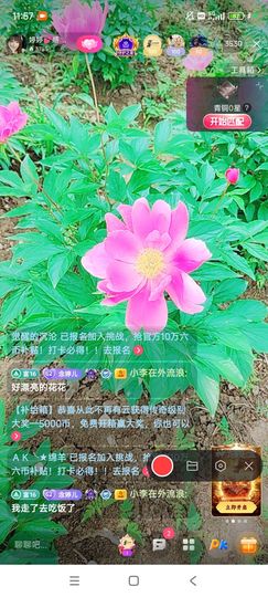 婷婷💕感恩有你陪伴的图片