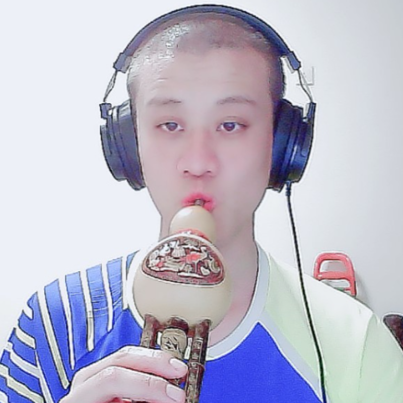葫芦丝才艺猪海报