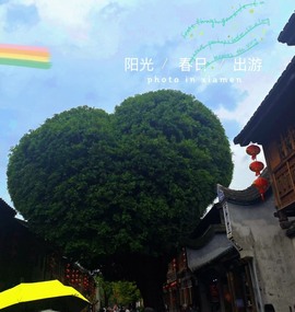 🍬。的图片
