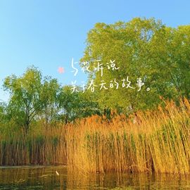 雪菜♫好运好运旺的图片