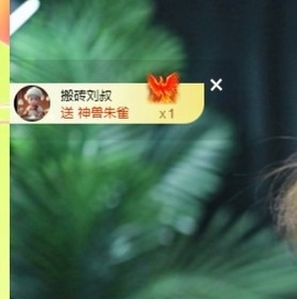 许华峰（努力版）主播照片