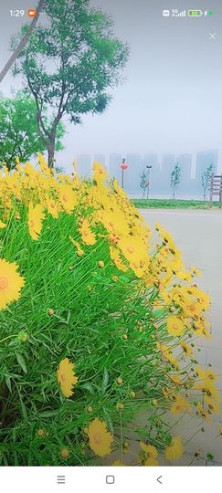 婷婷💕感恩有你陪伴主播照片