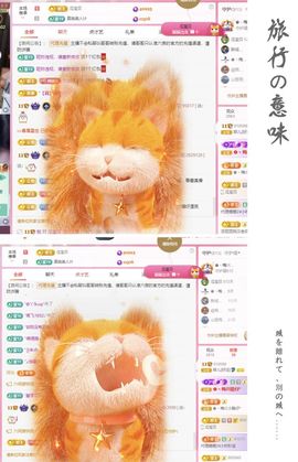 菲儿♥好运🌈主播照片