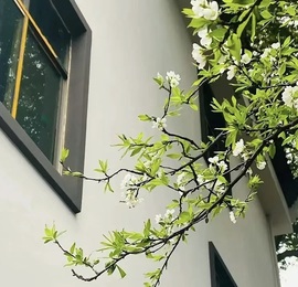 保护我方小北主播照片